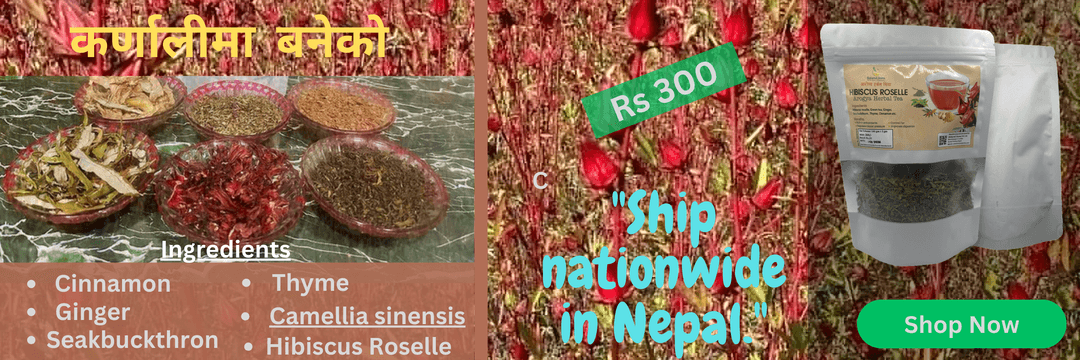 कर्णालीमा बनेको जडिबुडी मिश्रित चिया